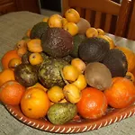 Tropical Fruit Garden