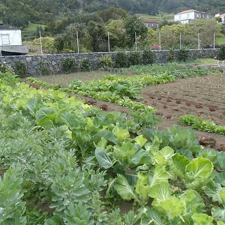 Affittacamere Tropical Fruit Garden