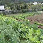 게스트하우스 Tropical Fruit Garden