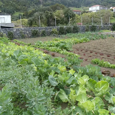 בית הארחה Tropical Fruit Garden