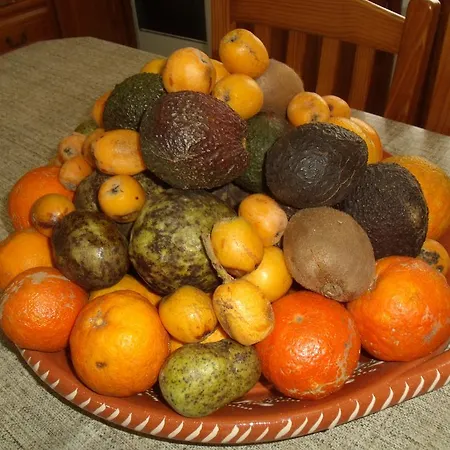 Tropical Fruit Garden