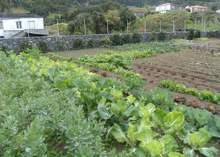 Guest house Tropical Fruit Garden