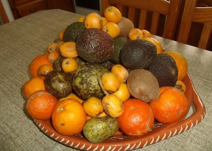 Tropical Fruit Garden