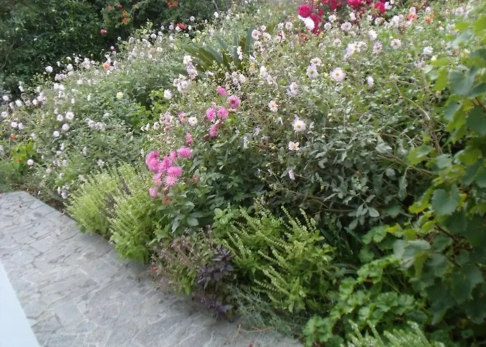 Tropical Fruit Garden Velas